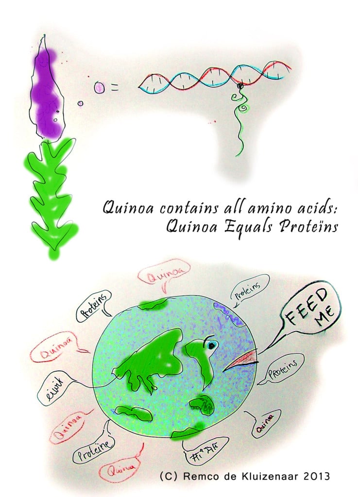 Quinoa equals Proteins - illustratie Remco de Kluizenaar